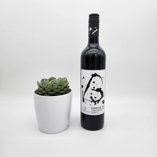 Sip Happens - Thinking of You Gift with Assorted Succulent - Sydney Only