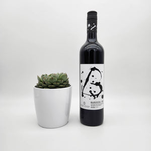 Sip Happens - Thinking of You Gift with Assorted Succulent - Sydney Only