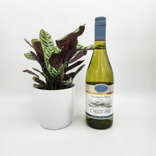 Load image into Gallery viewer, Sip Sip Hooray - Celebration / Birthday Gift with Assorted Houseplant - Sydney Only
