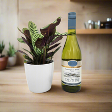 Load image into Gallery viewer, Housewarming Gift - Wine with Assorted Houseplant - Sydney Only
