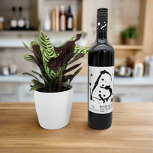 Load image into Gallery viewer, Housewarming Gift - Wine with Assorted Houseplant - Sydney Only
