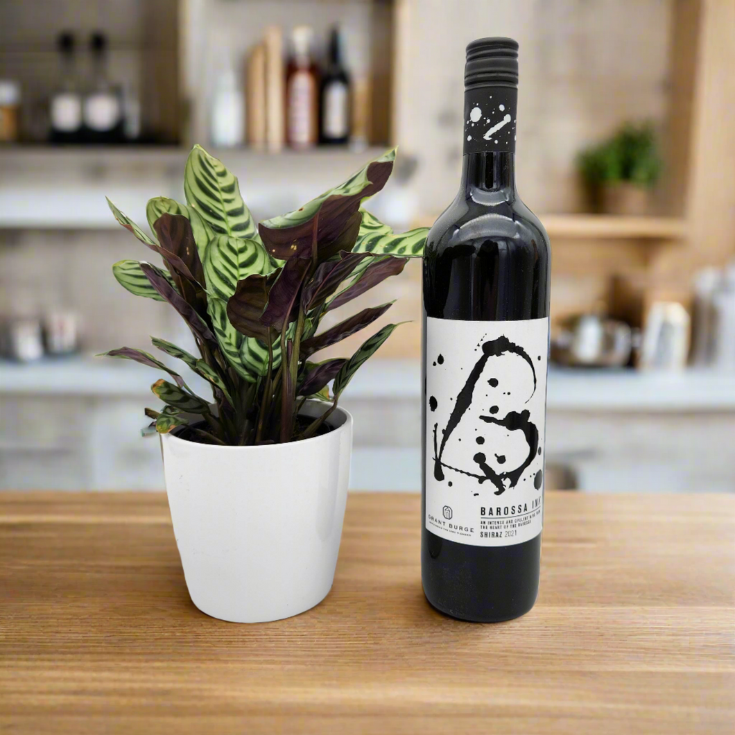 Housewarming Gift - Wine with Assorted Houseplant - Sydney Only