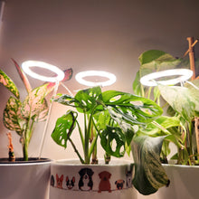 Load image into Gallery viewer, Three Rings Sunshine White Grow Lights
