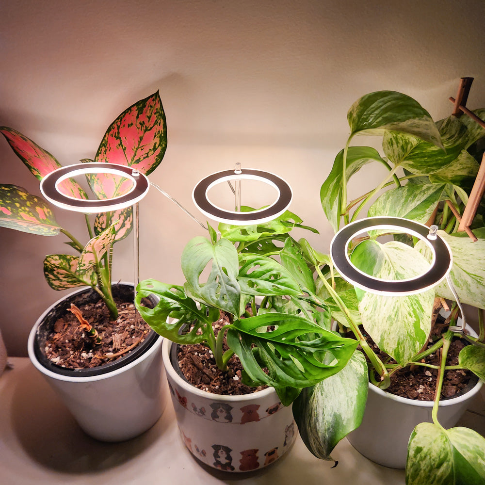 Grow lights for store plants near me