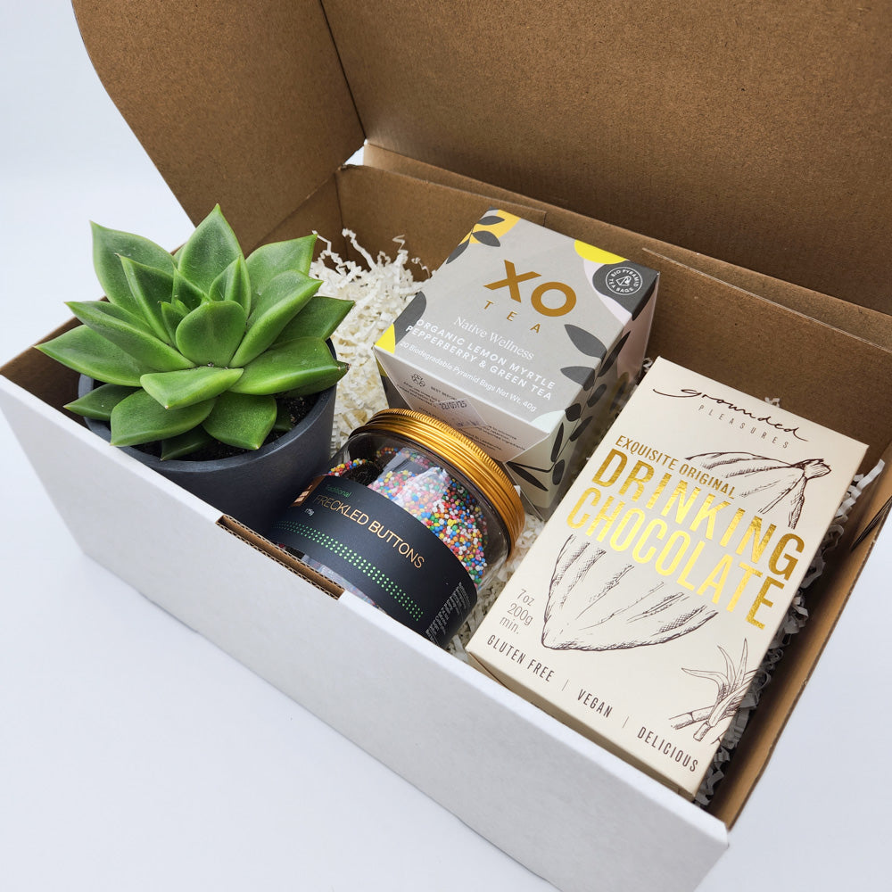 Employee Wellness / Wellbeing Hamper Gift Box | Succulent Gift Delivery ...