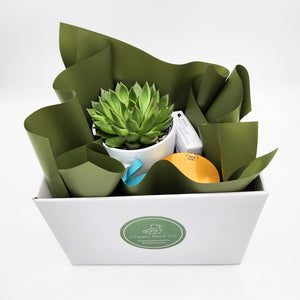 Client Onboarding Gift Hamper - Sydney Only