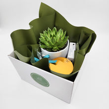 Load image into Gallery viewer, Client Onboarding Gift Hamper - Sydney Only
