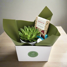 Load image into Gallery viewer, Condolence Gift Hamper - Better than Bouquets - Sydney Only
