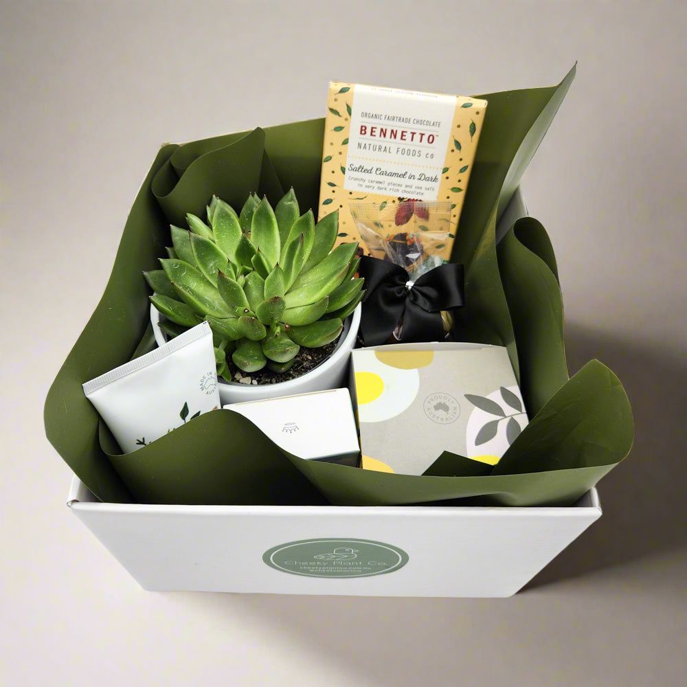 succulents delivered sydney Pamper Hamper Gift - Better than Flowers