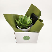 Load image into Gallery viewer, Birthday Gift Hamper - Better than Bouquets - Sydney Only

