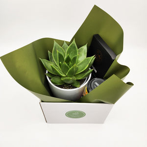 Birthday Gift Hamper - Better than Bouquets - Sydney Only