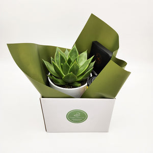 Birthday Gift Hamper - Better than Bouquets - Sydney Only