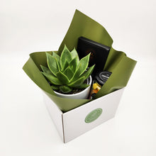Load image into Gallery viewer, Birthday Gift Hamper - Better than Bouquets - Sydney Only
