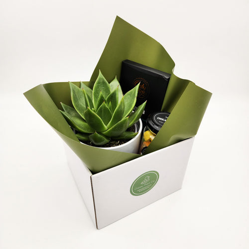 Birthday Gift Hamper - Better than Bouquets - Sydney Only