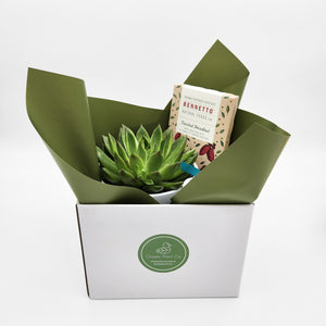 Condolence Gift Hamper - Better than Bouquets - Sydney Only