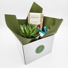 Load image into Gallery viewer, Condolence Gift Hamper - Better than Bouquets - Sydney Only
