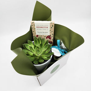 Condolence Gift Hamper - Better than Bouquets - Sydney Only