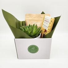 Load image into Gallery viewer, Housewarming Succulent Gift Hamper - Sydney Only
