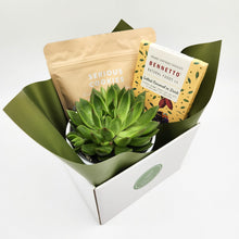 Load image into Gallery viewer, Housewarming Succulent Gift Hamper - Sydney Only

