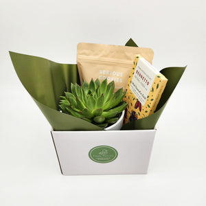 Housewarming Succulent Gift Hamper - Sydney Only