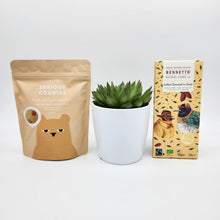 Load image into Gallery viewer, Housewarming Succulent Gift Hamper - Sydney Only
