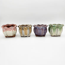 Load image into Gallery viewer, Wavy Succulent Pots - 12cmD x 9.5cmH - 4 Pack

