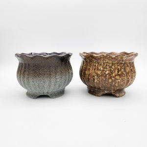 Earthy Succulent Pots - 14cmD x 10cmH - 2 Pack