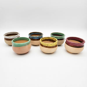 Coloured Rim Succulent Pots - 8cmD x 6cmH - 6 Pack