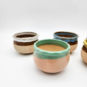 Coloured Rim Succulent Pots - 8cmD x 6cmH - 6 Pack