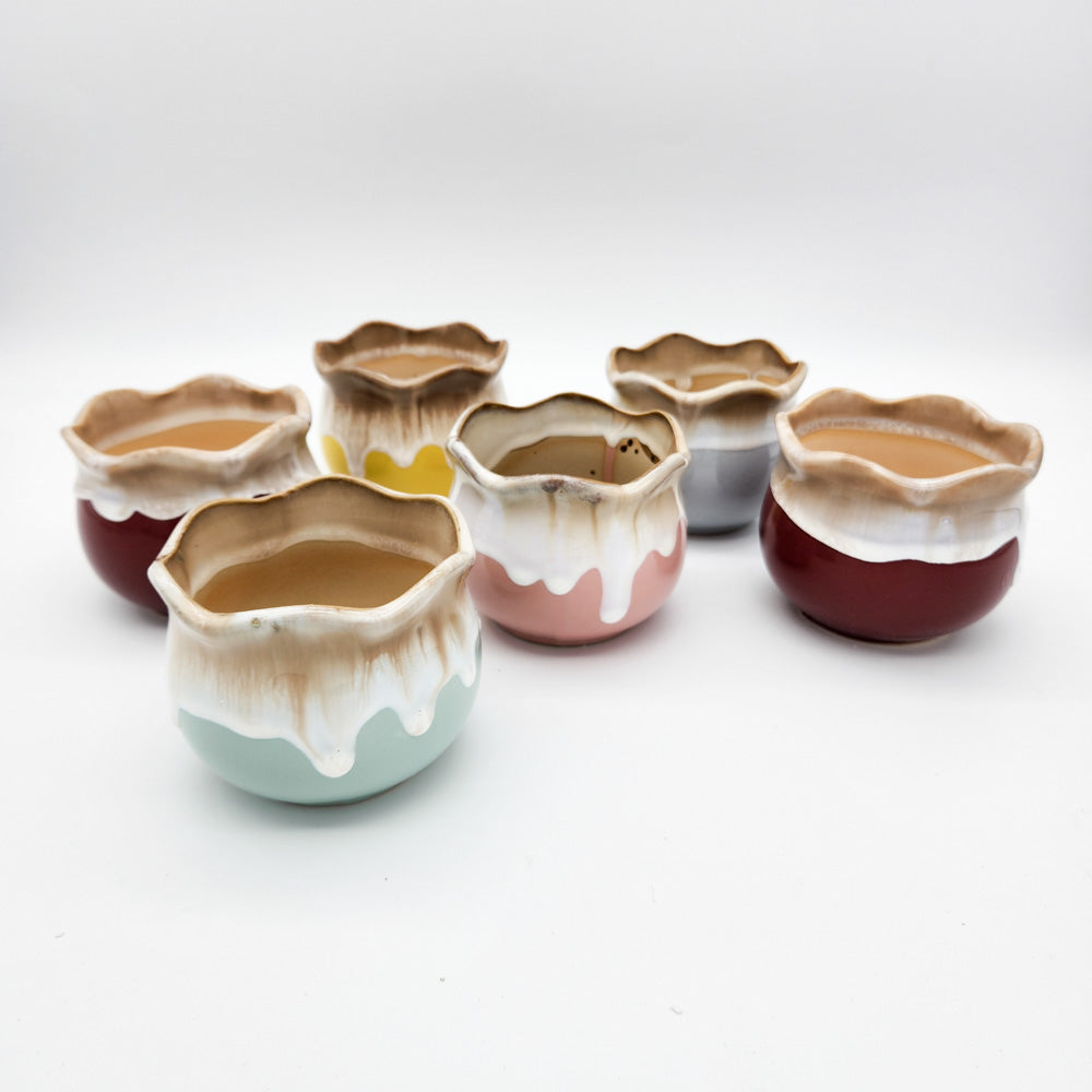 Honey Drip Succulent Pots - 9cmD x 7.5cmH - 6 Pack