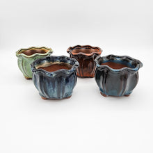 Load image into Gallery viewer, Wavy Succulent Pots - 12cmD x 9.5cmH - 4 Pack
