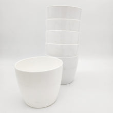 Load image into Gallery viewer, White Plastic Regal Pots - Pack of 6
