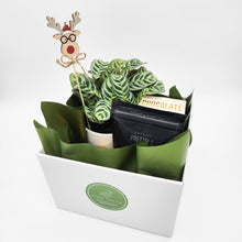 Load image into Gallery viewer, Plantastic Christmas Hamper Gift - Sydney Only
