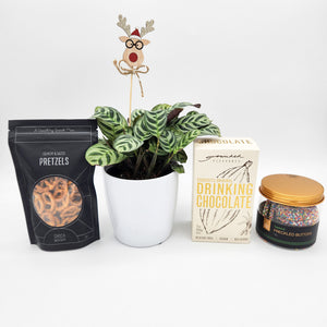 Plantastic Christmas Hamper Gift - Sydney Only