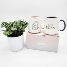 Load image into Gallery viewer, Engagement Gift - Assorted Potted Plant with Boss &amp; The Real Boss Mug Set - Sydney Only
