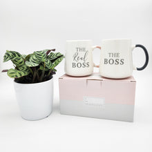 Load image into Gallery viewer, Engagement Gift - Assorted Potted Plant with Boss &amp; The Real Boss Mug Set - Sydney Only
