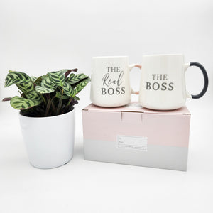 Engagement Gift - Assorted Potted Plant with Boss & The Real Boss Mug Set - Sydney Only