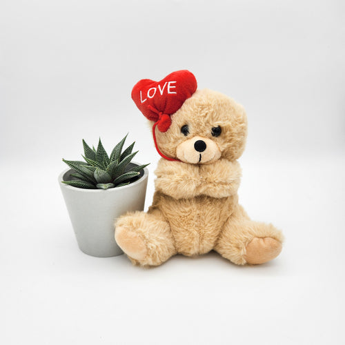 Love Gift - Succulent with Love Heart Bear