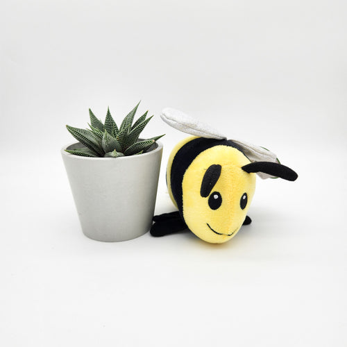 Baby Gift - Succulent with Bee Plush Toy
