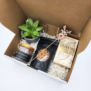 Plantastic Christmas Succulent Gift Box