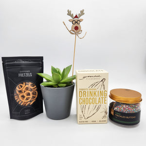 Plantastic Christmas Succulent Gift Box