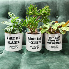 Load image into Gallery viewer, Trio Pack - Funny - Cheeky Plant Co. Pots - 12.5cmD x 12cmH
