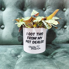Load image into Gallery viewer, Wholesale - I Got This From My Pot Dealer - Cheeky Plant Co. Pot - 12.5cmD x 12cmH - Pack of 24

