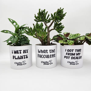 Trio Pack - Funny - Cheeky Plant Co. Pots - 12.5cmD x 12cmH