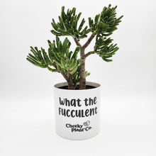 Load image into Gallery viewer, Wholesale - What the Fucculent - Cheeky Plant Co. Pot - 12.5cmD x 12cmH - Pack of 24
