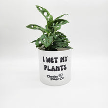 Load image into Gallery viewer, Wholesale - I Wet My Plants - Cheeky Plant Co. Pot - 12.5cmD x 12cmH - Pack of 24
