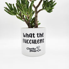 Load image into Gallery viewer, Wholesale - What the Fucculent - Cheeky Plant Co. Pot - 12.5cmD x 12cmH - Pack of 24
