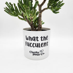 What the Fucculent - Cheeky Plant Co. Pot - 12.5cmD x 12cmH