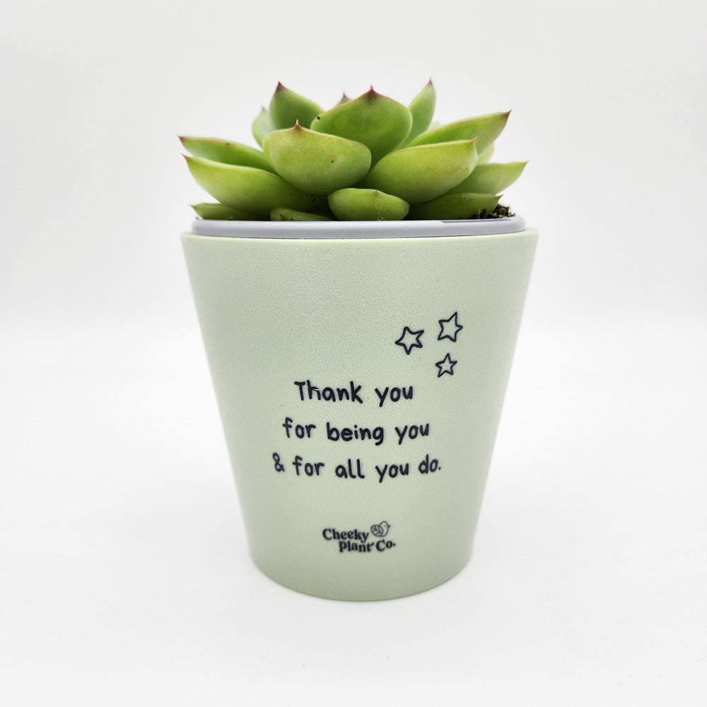 Posative Pot Thank You For All You Do | Cute Plant Pots – Cheeky Plant Co.