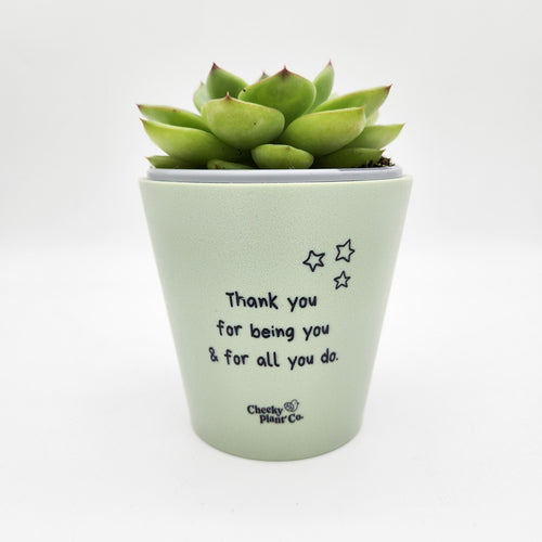 Thank You For All You Do - Cheeky Plant Co. Positive Pot - 11cmD x 11cmH